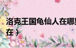 洛克王国龟仙人在哪里挑战（洛克王国龟仙人在）