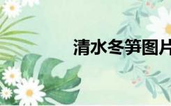 清水冬笋图片（冬笋图片）