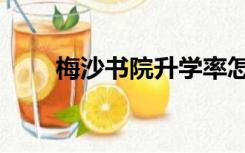 梅沙书院升学率怎么样（梅沙书院）