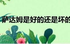 萨达姆是好的还是坏的（萨达姆是好人坏人）