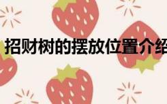 招财树的摆放位置介绍（招财树的摆放位置）