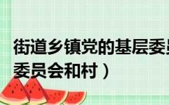街道乡镇党的基层委员会（街道乡镇党的基层委员会和村）