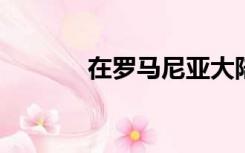 在罗马尼亚大陆打五环金箍棒
