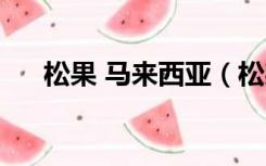 松果 马来西亚（松果儿马来西亚视频）