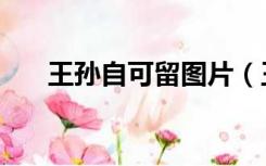 王孙自可留图片（王孙自可留的意思）