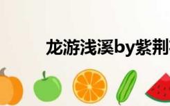 龙游浅溪by紫荆花开（龙游浅溪）