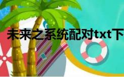 未来之系统配对txt下载（未来之系统配对）