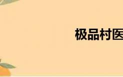 极品村医段飞结局