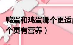 鸭蛋和鸡蛋哪个更适合孩子吃（鸭蛋和鸡蛋哪个更有营养）