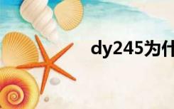 dy245为什么打不开？