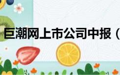 巨潮网上市公司中报（巨潮网上市公司报表）