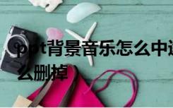ppt背景音乐怎么中途暂停（PPT背景音乐怎么删掉）