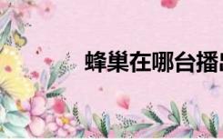 蜂巢在哪台播出（蜂巢片源）