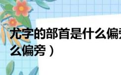 尤字的部首是什么偏旁结构（尤字的部首是什么偏旁）