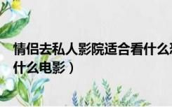 情侣去私人影院适合看什么恐怖片（情侣去私人影院适合看什么电影）