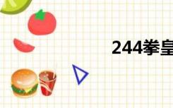 244拳皇之翼1 9