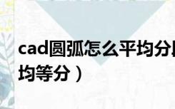 cad圆弧怎么平均分段标注（cad圆弧怎么平均等分）