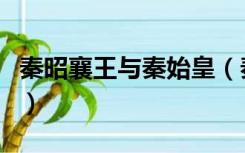 秦昭襄王与秦始皇（秦昭襄王与秦始皇的关系）