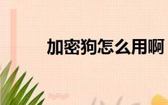 加密狗怎么用啊（加密狗怎么用）