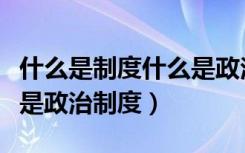 什么是制度什么是政治制度（什么是制度什么是政治制度）