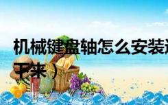 机械键盘轴怎么安装进去（机械键盘轴怎么拆下来）