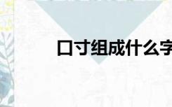 口寸组成什么字（口寸念什么）