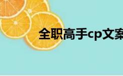 全职高手cp文案（全职高手cp）