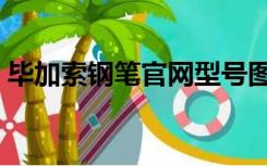 毕加索钢笔官网型号图片（毕加索钢笔官网）