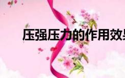 压强压力的作用效果（压强压力公式）