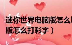 迷你世界电脑版怎么切换账号（迷你世界电脑版怎么打彩字）
