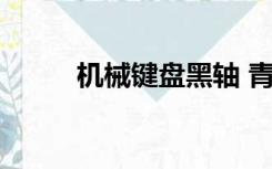 机械键盘黑轴 青轴 红轴有啥区别
