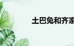 土巴兔和齐家网（土巴免）