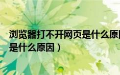 浏览器打不开网页是什么原因苹果手机（浏览器打不开网页是什么原因）