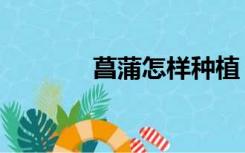 菖蒲怎样种植（菖蒲怎么读）