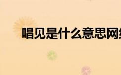 唱见是什么意思网络语（唱见是什么）