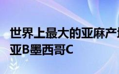 世界上最大的亚麻产地是哪里()(2分)A哥伦比亚B墨西哥C