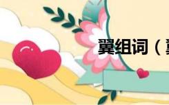 翼组词（翼云校园）