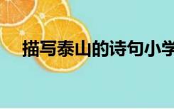 描写泰山的诗句小学（描写泰山的诗句）