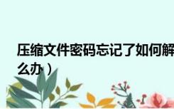 压缩文件密码忘记了如何解压rar（压缩文件密码忘记了怎么办）