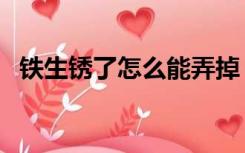 铁生锈了怎么能弄掉（铁生锈了怎么去除）