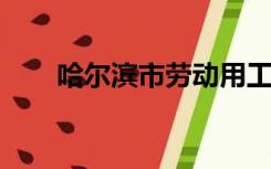 哈尔滨市劳动用工信息备案管理系统