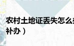 农村土地证丢失怎么办（农村土地证丢失怎么补办）