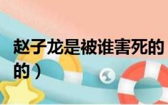 赵子龙是被谁害死的（赵子龙怎么死的被谁杀的）