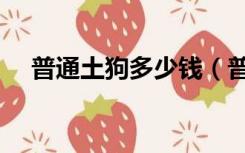 普通土狗多少钱（普通土狗多少钱一只）