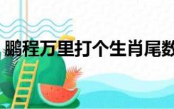 鹏程万里打个生肖尾数（鹏程万里打一生肖）
