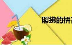 照拂的拼音（照拂）