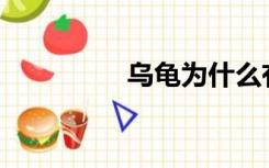 乌龟为什么有千年寿命？