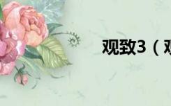 观致3（观什么麦）