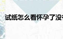 试纸怎么看怀孕了没有（试纸怎么看怀孕）