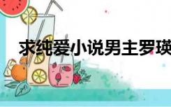 求纯爱小说男主罗瑛是假太监然后是某国